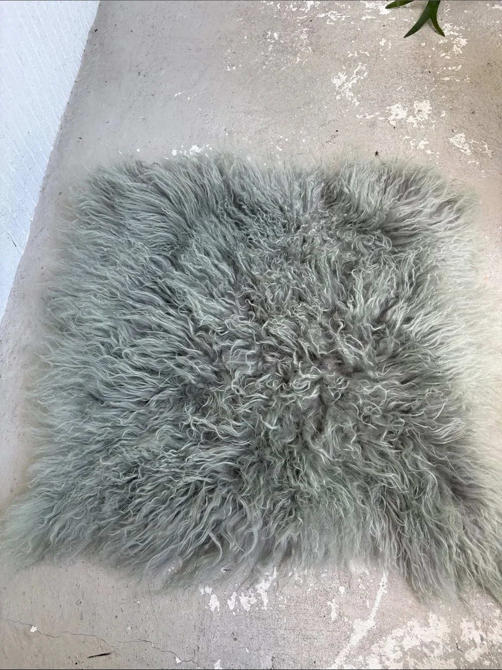 West elm Lamb fur pillow